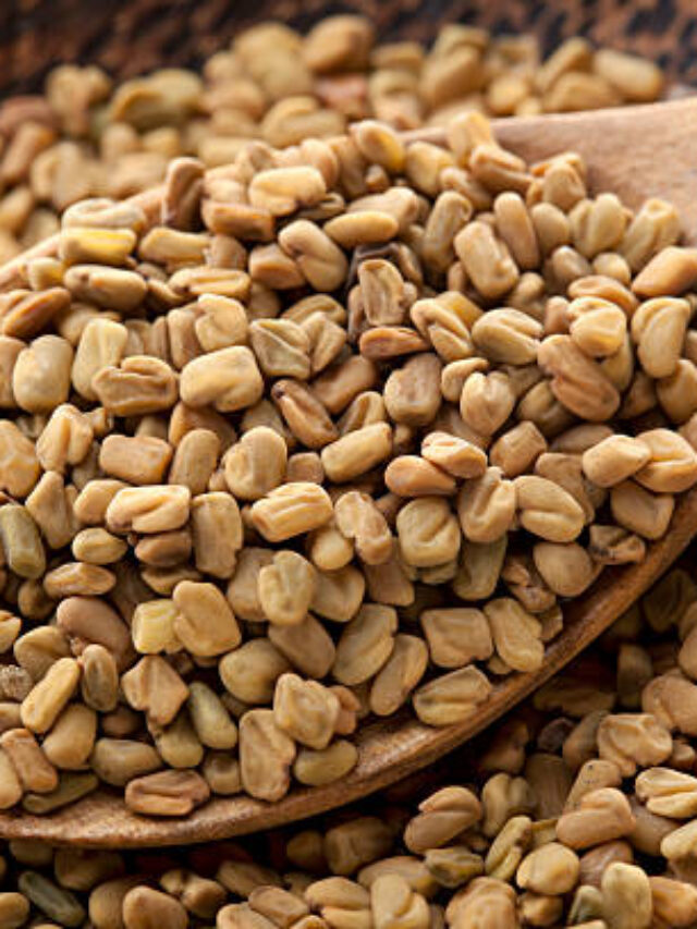 मेथी के 10 लाभ (10 Benefits of Fenugreek)